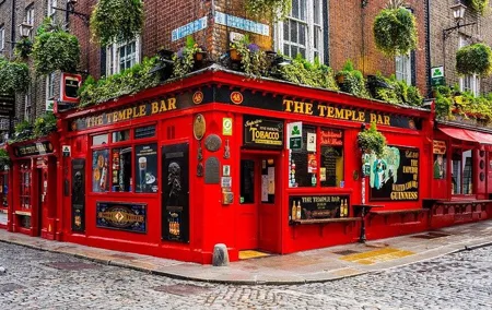 Private 3-hour walking tour of Dublin most emblematic sites