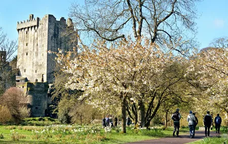 Cork to or from Dublin Private Transfer