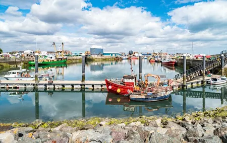 Dublin Great Famine Tour with Fast-Track EPIC Museum Tickets