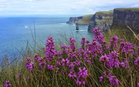 Private Day Tour Cliffs of Moher from Dublin