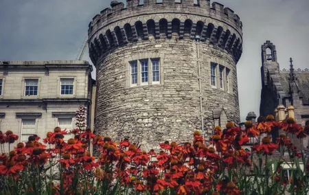 Best Intro Tour of Dublin with a Local