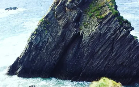 Cliffs of Moher & Bunratty Castle Day Tour