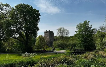 Kiss the Blarney Stone Tour from Dublin