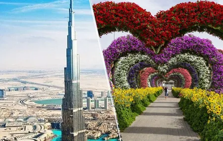 Half Day city Tour & Miracle Garden Tickets Only