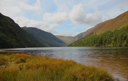 From Dublin: Private Day Trip to Wicklow & Glendalough