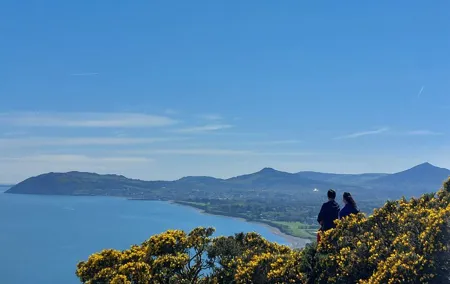 Dublin Private City Highlights and Suburbs Tour