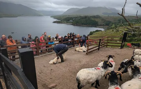 Cliffs of Moher Galway Connemara 3 Days Private West Coast Tour