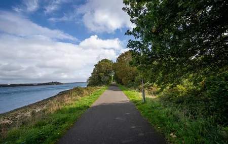 City to Sea: Guided E-Bike Tour Cork to Cobh