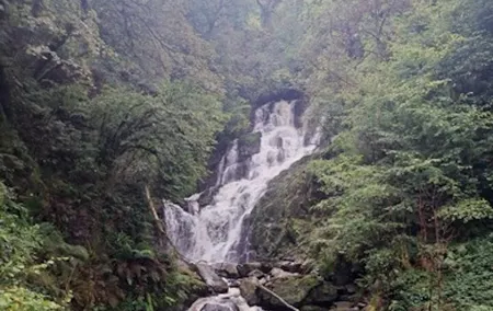 Private Ring of Kerry Tour from Cork City