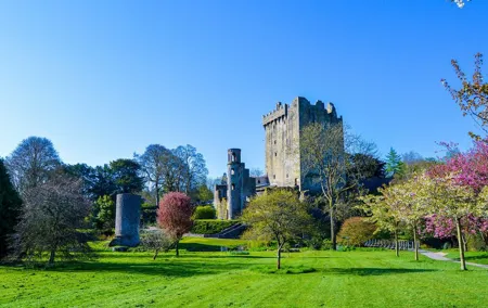 Private Tour: Classic Cork Tour visiting Blarney Castle & Kinsale
