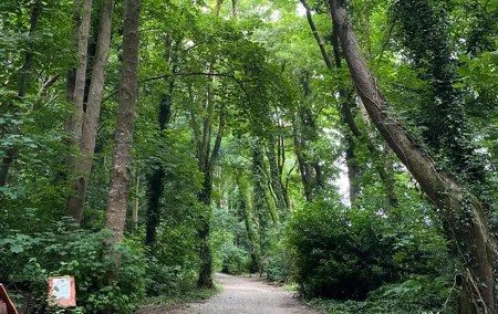 Family Adventure Quest Treasure Hunt at Fota Island Resort