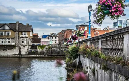 Limerick Private Walking Tour with a Local