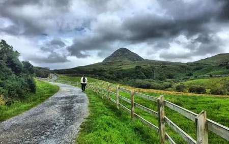 From Galway: Guided tour of Connemara with 3 hour stop at Connemara National Pk.