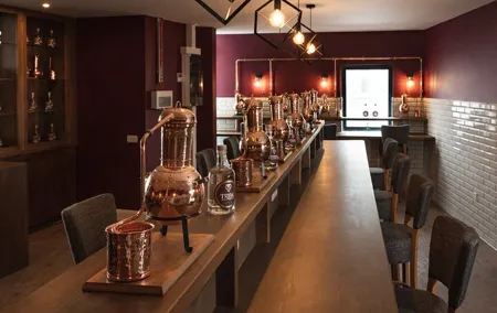Tribe Gin School Experience in Galway