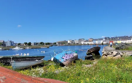 Galway City Daily Walking Tours