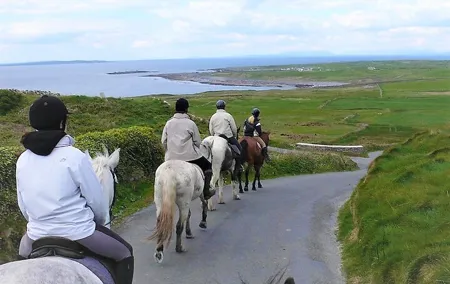 Horse riding - Dirt Trek Trail. Lisdoonvarna, Clare. Guided. 1 hour.