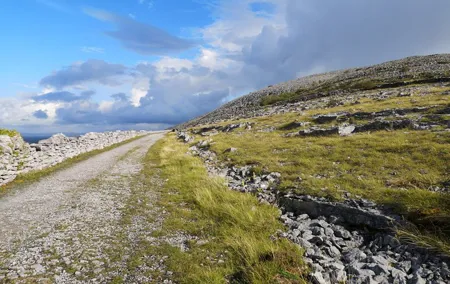 The Burren and Cliffs of Moher Private Tour from Galway