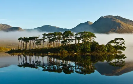 Connemara, Kylemore Abbey and Wild Atlantic Way tour from Galway