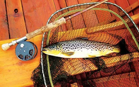 Fly fishing for wild Brown trout on Lough Corrib. Galway. Private Ghillie.