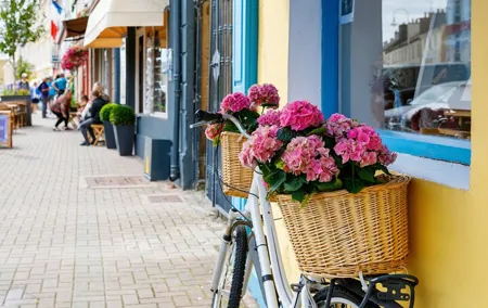 Private Experience Journey Through Ireland’s Heart