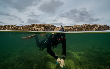 Guided Snorkel Activity at Coral Beach Carraroe, Galway