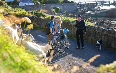 Cycle Inishbofin island. Connemara, Galway. Self-guided. Full day.