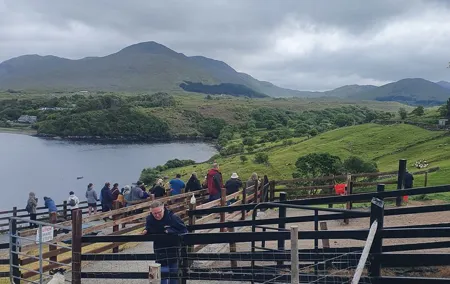 Connemara Half Day Tour