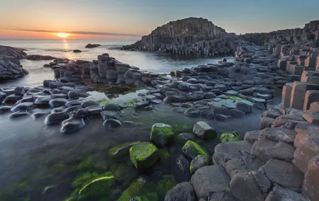 Giants Causeway, Rope Bridge, Carrickfergus Castle and Dark Hedges Tour