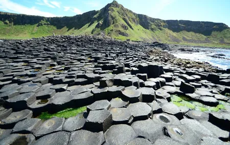 Guided Day Tour: Giant's Causeway from Belfast