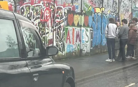 Belfast black taxi tour