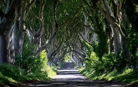 Game of thrones locations and Giants causeway tour