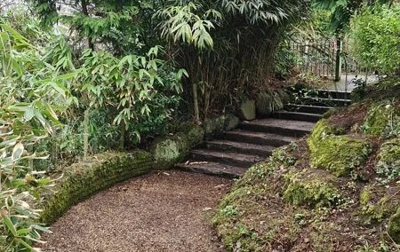 A Unique Belfast Walking Experience