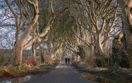 11 Hour Day Trip Giant’s Causeway from Belfast