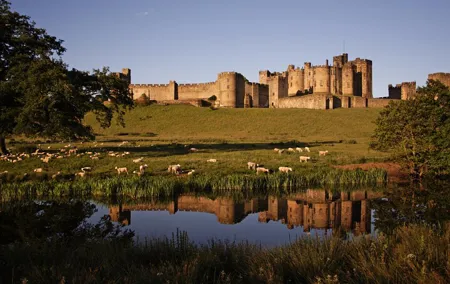 Alnwick Castle, Northumberland and Borders Tour with Admission
