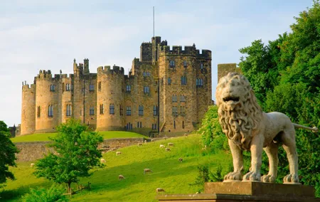 Viking Coast and Alnwick Castle Very Small Group Tour from Edinburgh