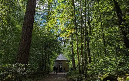 Scone Palace, Nature, Pitlochry, Whisky Experience from Edinburgh
