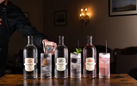 Gin Tasting Experience with a Perfect Serve