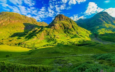 Highlands Cows Glencoe and Castles Private Tour from Edinburgh