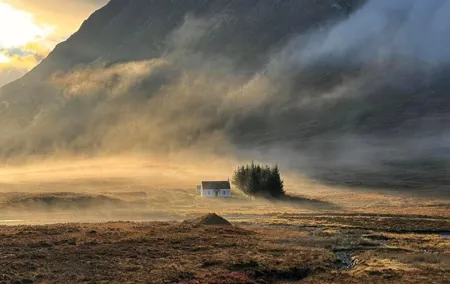 Ultimate Day tour Edinburgh: Glencoe, Highland Cows, Loch Lomond
