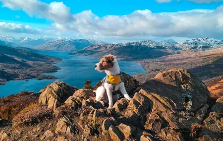 Two Day Private Tour of Skye and the Highlands from Edinburgh