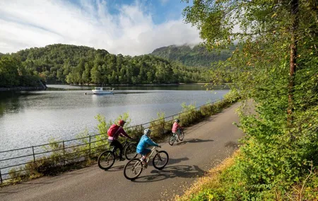 Bonnie Lochs & Bold Whisky Small Group Tour from Edinburgh