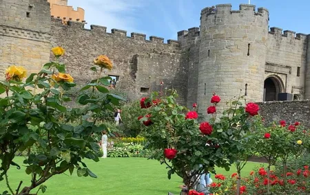 Private Tour Stirling Castle + Whiskey Distillery