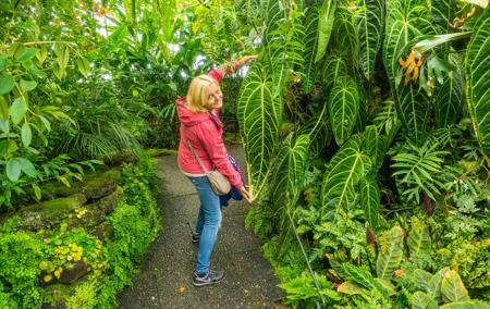Royal Botanic Garden Edinburgh Private Guided Tour