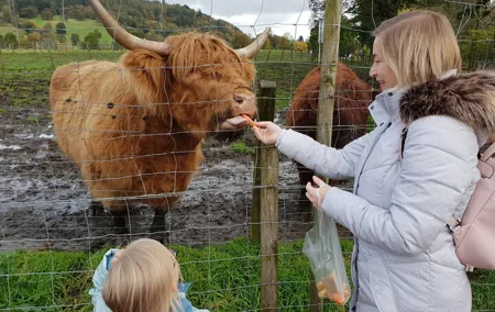 Private Full Day Tour of Loch Ness, Highlands, and Blair Castle