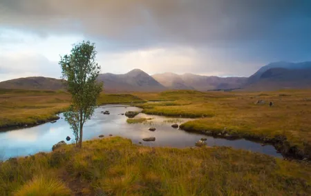 Glencoe and Highlands Adventure