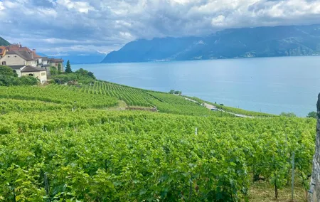 Gruyères, Cheese & Lavaux UNESCO Wine Premium Tour | From Bern