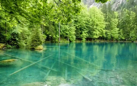 Blausee Express Sightseeing Tour from Interlaken Switzerland