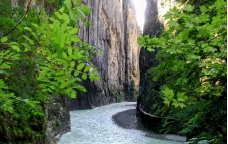 Giessbach Waterfall with CLOY Stairs and Aare Gorge Water Canyon