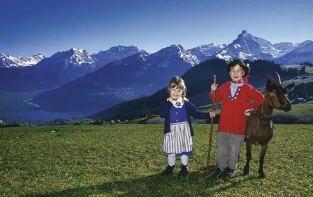 Heidiland and Liechtenstein Tour from Zurich