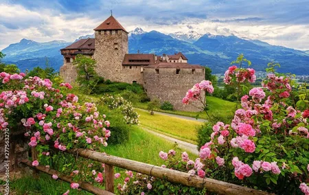 Explore 4 Countries in a Day: Liechtenstein,Austria,Swiss&Germany
